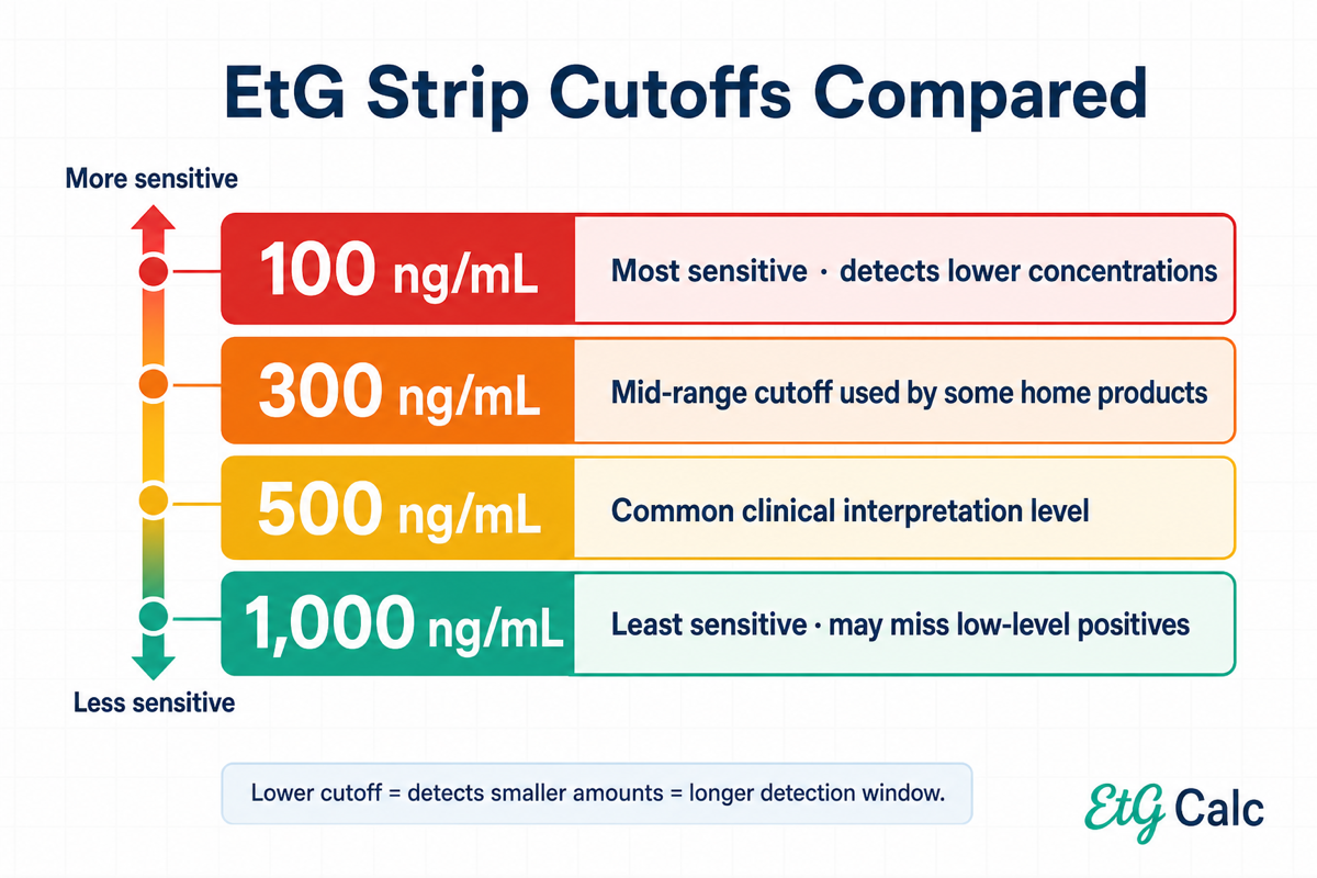 EtG strip cutoffs compared: 100, 300, 500, and 1000 ng/mL sensitivity