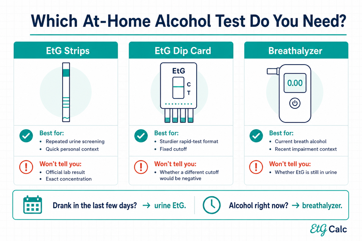 Which at-home alcohol test to choose: EtG strips vs dip card vs breathalyzer